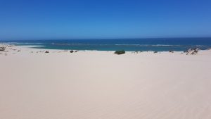 The length of the fringing reef can be seen from the top of the extensive dunes.