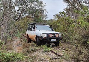 At the end of the overgrown section.