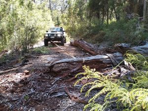 And the second log.