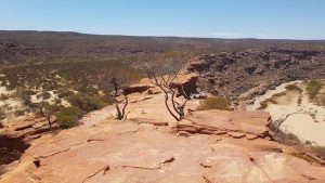 The Murchison River is on both sides of the spine – hence the name The Loo