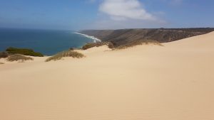 Northern end of the Horrocks dunes.