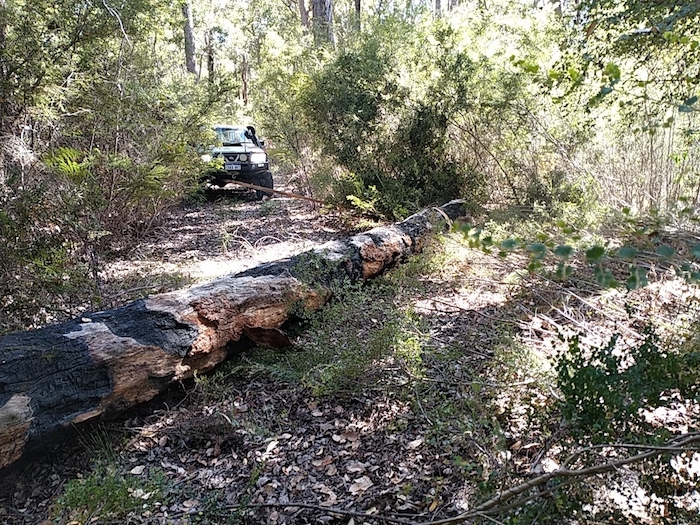 Pulled the log off the track