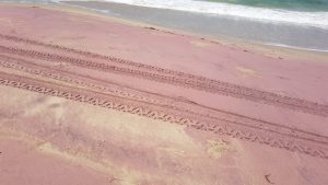 Red-tinged sand at Broken Anchor Bay.