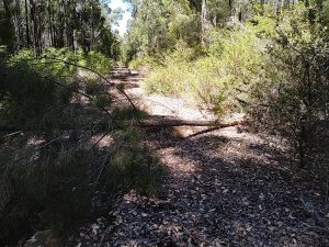 The obstacle was removed with a handsaw.