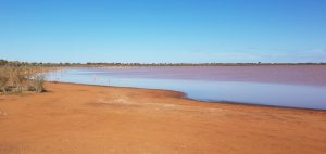Rowles Lagoon.