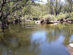 Scarp Pool