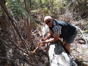 Scott puts strap around log.
