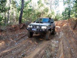 Track off Big Tree Road.