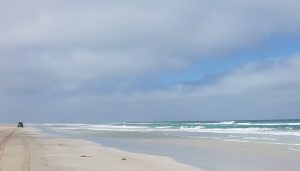 South of Port Gregory.