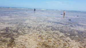Tony and Cherry on the reef