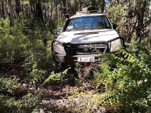 The track was a bit overgrown.