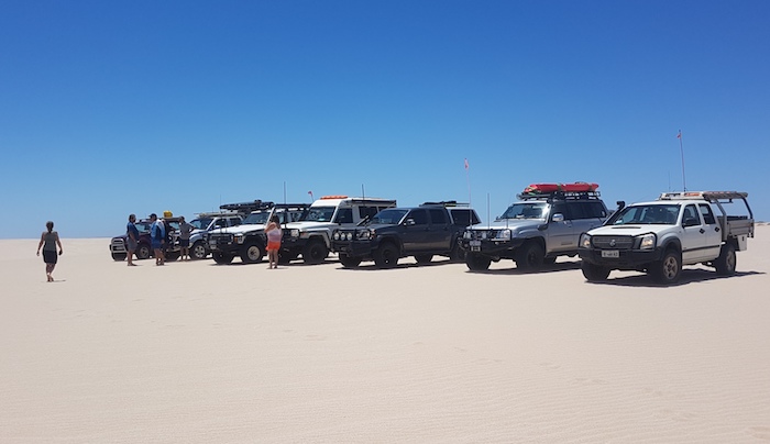 Vehicle lineup in the Lucky Bay dunes.