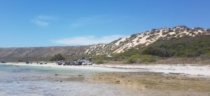 Our vehicles at Little Bay lunch spot.