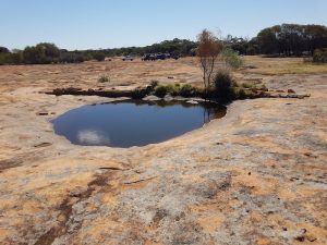 One of a number of water catchments on and around Weowanie.