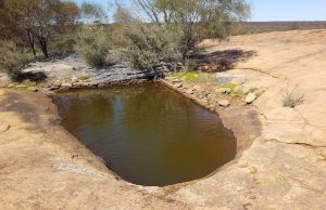 Hunt’s Tank at Weowanie Rock.