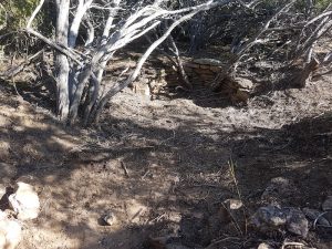 Yerdanie Well