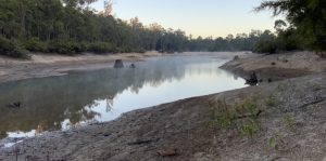 The upper end of Jarrahwood Pool.