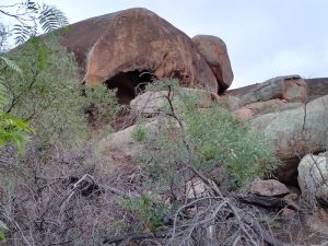 A large tafone at Booanya Rock.