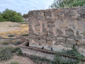 Cement-lined tank and water trough adjacent to a dam north of Booanya Rock.