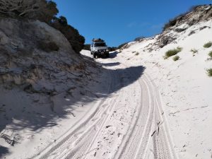 Nearly on the beach.