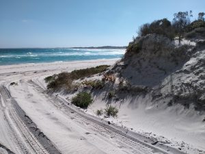 We checked out the beach in both directions.