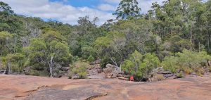 Fernhook Falls – less spectacular when dry.