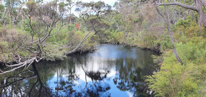 Frankland River near Monastery Landing.