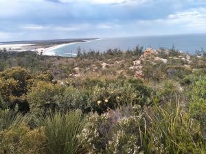 Spectacular views from Barrens Lookout.