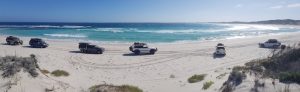 Our convoy at the entry to East Munglinup Beach.