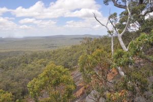 At the side of Little Mount Frankland.