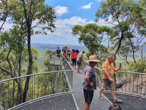 Mt Frankland Lookout