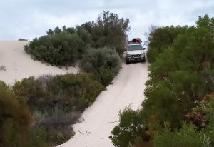 Descending sand dune to Thirteen Mile Beach.