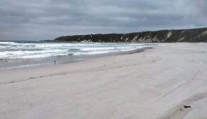 Qualilup Beach with the lookout/headland in the background.