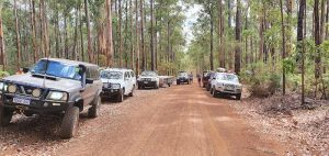 Karri forest on the way to Shannon.