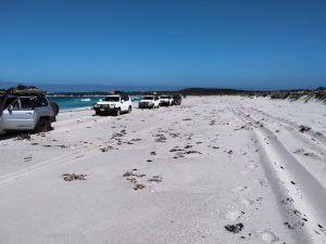Our convoy on Starvation Boat Harbour Beach not long before it narrowed and angled.