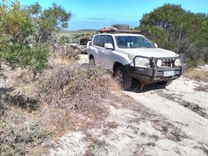 We wanted to turn right at this point however the track was closed due to disease risk.