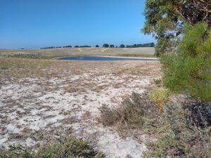 The track took us past farms back to Springdale Road.