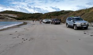 On the beach at Boat Harbour.