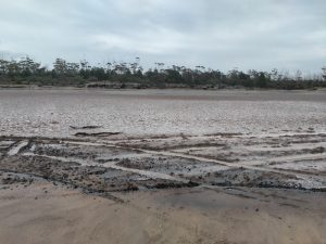 Claypan/lake at Juranda Rockhole.