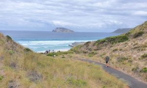 To Mandalay Beach Lookout. Chatham Island in background.