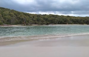 Nornalup Inlet, near the mouth.