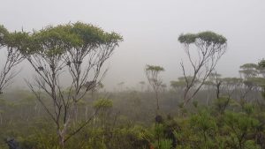 On the way to the top.