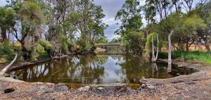 The Tone River at Tonebridge.