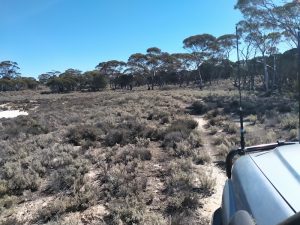 Track along the edge of Lake Sharpe.