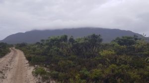 The track into Mount Ragged.