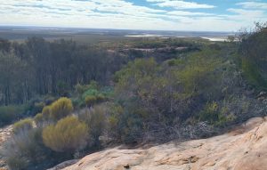 View from Mushroom Rock.