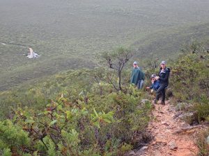 On the Mount Ragged track.