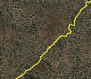 At the beginning of the Yadadinia Rockhole track we had to make many diversions around fallen trees.