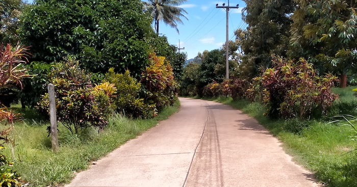 Hundreds of metres of exotic bushes and shrubs lined the road into the produce farm.