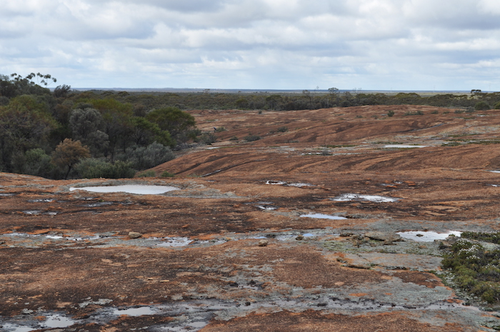 Lots of water on Karalee Rock.
